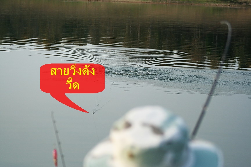 สวัสดีครับ น้า meeja2010  ( ขอบคุณมากครับ :blush: :love:)
สวัสดีครับ น้า อู๊ดฟิ่ชชิ่ง ( ขอบคุณมากคร