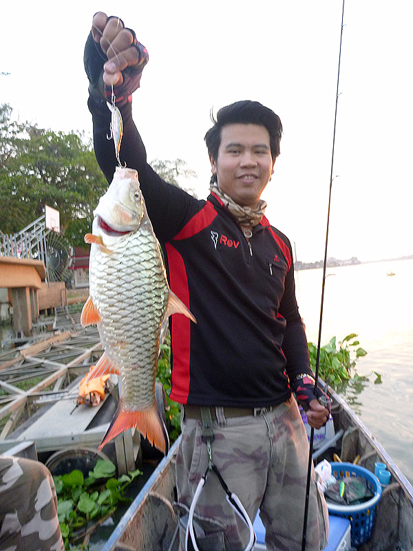 ชั่วโมงทองจริงๆ กระสูบไล่กัดปลาซิวโดดโหยงเหยง หมูสาดบีฟรีซใส่  :laughing:

 :heart: :heart: :heart