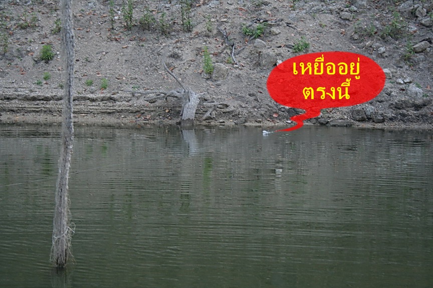 มาเริ่มกันที่ตัวใหม่เลยครับเพื่อน