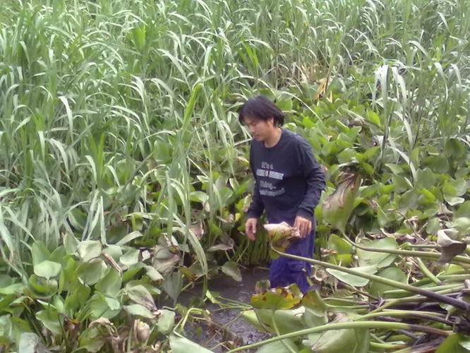 เริ่มขั้นที่ 2 รื้อหญ้า ครับผม :mad: