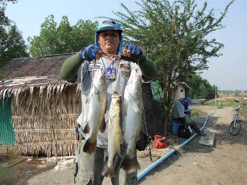 น้าผู้พันอั๋น นี่เอง โห สามเลยเหรอ  :cool: :cool: :cool: :cool: :cool: :cool: :cool: :cool: :cool: