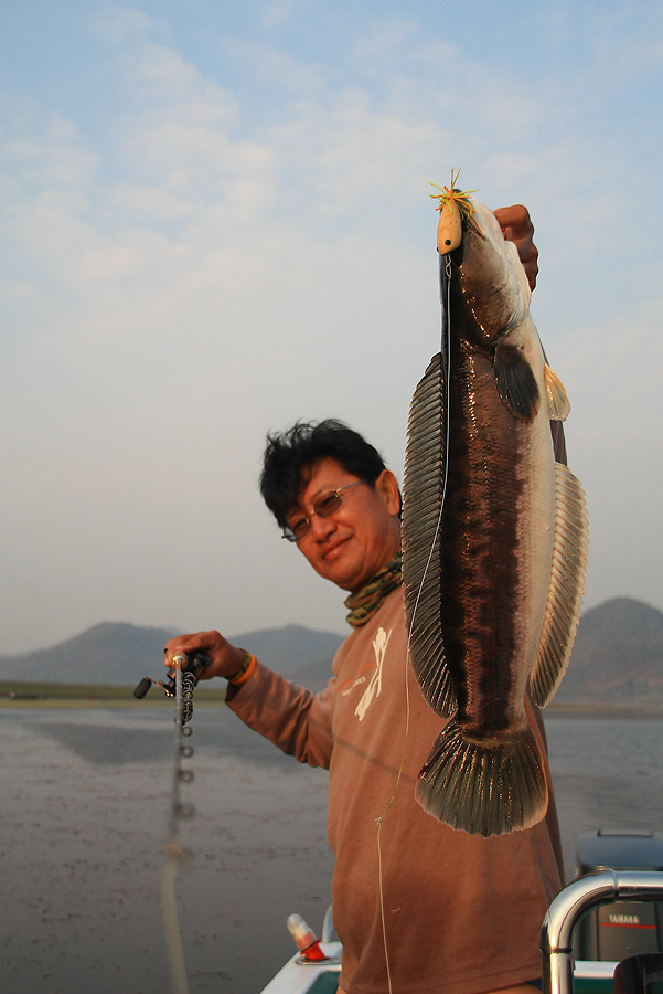 คราวนี้จับคันเบ็ดแน่นตึ๊บ...พาให้อดเห็นป๋าโดดน้ำอีกครั้ง
 :grin: :grin: :grin: