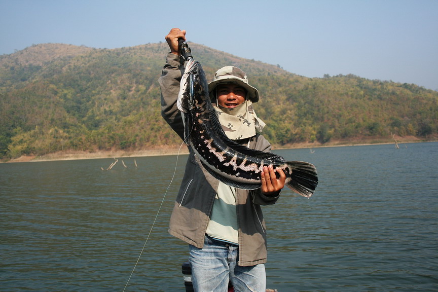 กัปตันเหมียวเรือผม ....... :smile:ขอขอบคุณกั