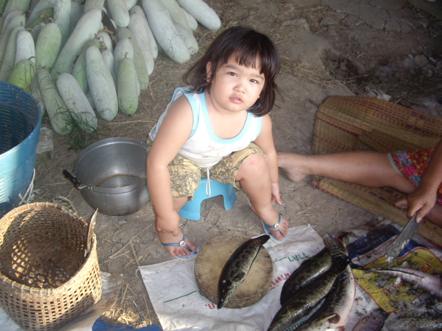 ลากันด้วยภาพนี้ละกัน  ลูกสาวโทรตามเมื่อไหร่จะเอาปลามาให้หนูสักที
มาถึงก็ช่วยยายเขาทำกันชลมุนทีเดียว