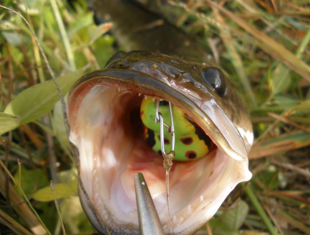 :grin: