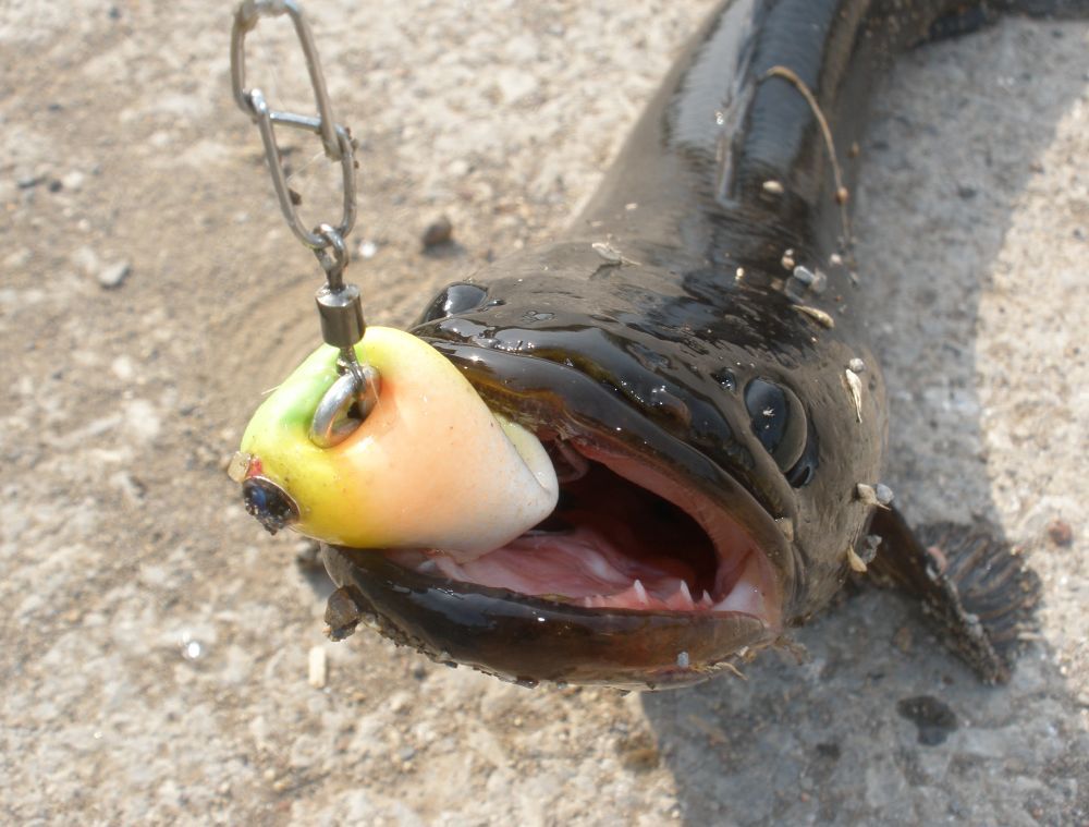  :grin: