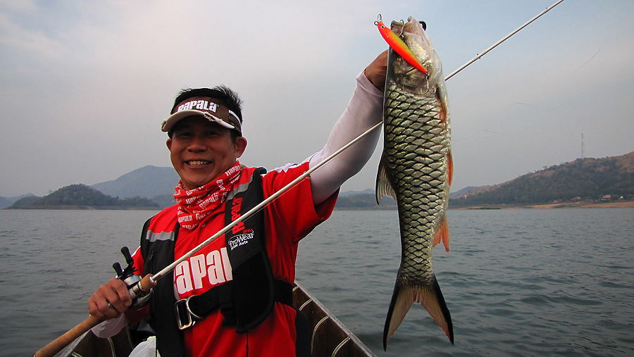 Pro rapala taster บินกลับมาซ้ำ ให้หนำใจ to thailand 23-1-11