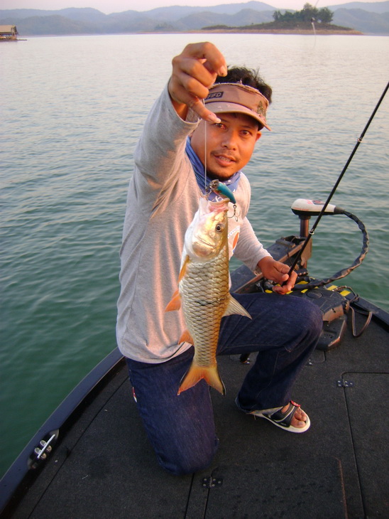 ผมศรัทธาเหยื่อตัวนี้เสมอ เมื่อมาตกปลาตามเขื่อน  POP 9  Rapala   :love: