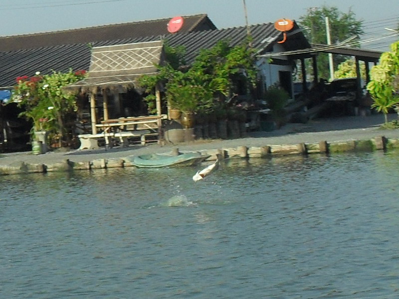 เอ้าทางหัวบ่อเขาก็มีเฮกันตลอดเลย 
 :ohh: :ohh: :ohh: :ohh: