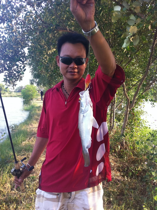 น้านก