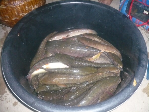 รวมๆครับ