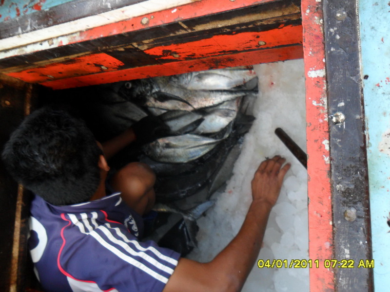แค่คืนเดียวกลางวันวิ่งเรือ  ห้องแช