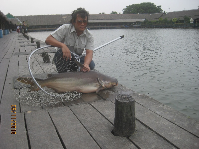 ภาพเก่าๆ