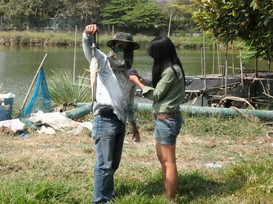 ..คนอื่นเขาตีกันตรงนี้ตั้งนานไม่กัด..น้าหมูมาไงเนี่ย..ตี2ทีโดนซะ..ลำบากป้าเปิ้ลต้องแจกลายเซ็นต์อีก..