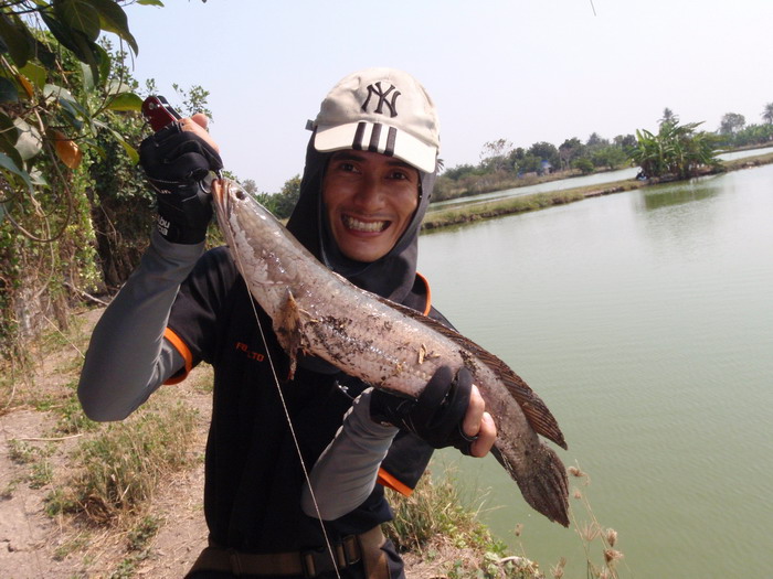 และแล้วปลาตัวเอกของเราก็ขึ้นมาแล้ว........จากน้องอิ้วน้องใหม่ MR. SHARK สายน้าตุ๊ก  :cheer: :cheer: 