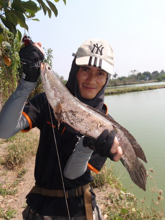 น้าอิ้ว........อย่าลืมที่ผมบอก..............อิอิอิ  :cheer: :cheer: :cheer: :cheer: