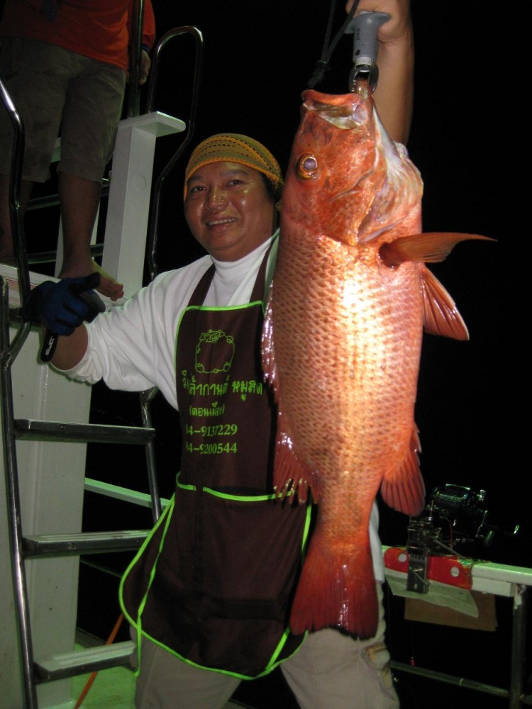 หน้าดินก๋เริ่มทำงานบ้างแล้ว :love: :love: