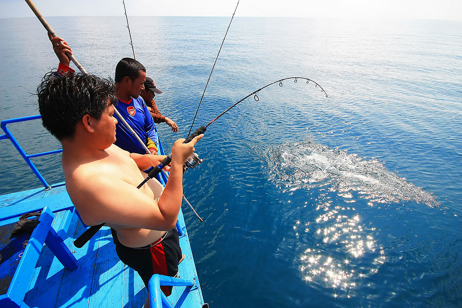 โดนลากวนมาจนถึงท้ายเรือ.

โอ้ววววววววววววว....ล่าค่าหัวเจ้าอินทรีด้วยเหยื่อปลอม แจ่มมากน้าไอซ์
 :