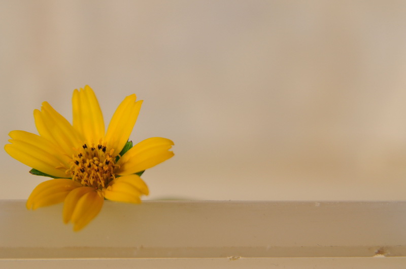 ปรับแล้วเป็นแบบนี้ครับ  :grin: