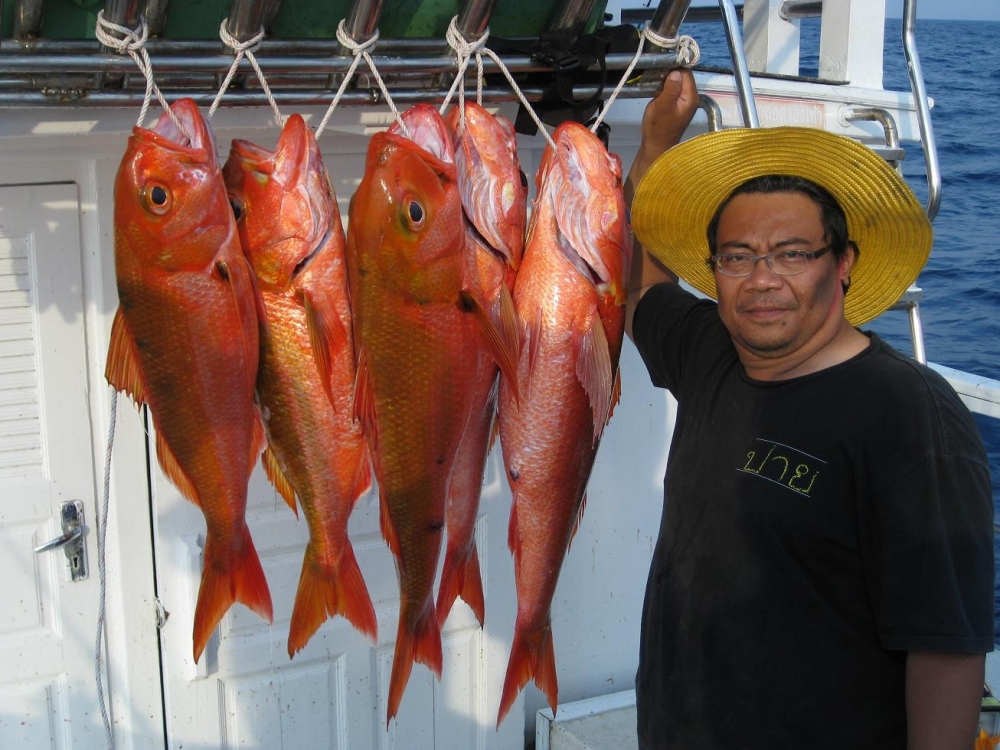 เก๋าถ่านถ่ายรูปคู่สีทอง... :tongue: