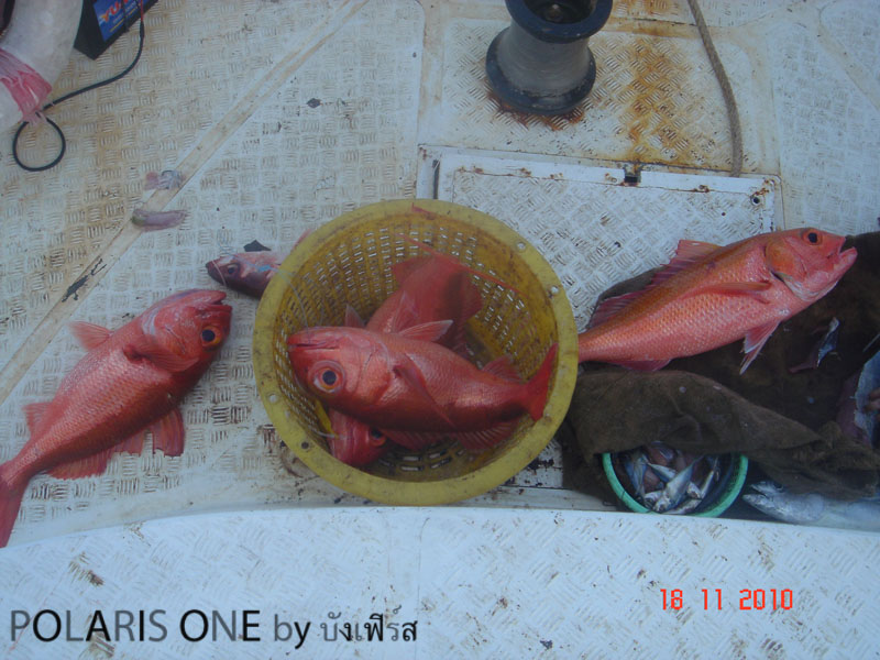 [q][i]อ้างถึง: นักล่าแห่งลำน้ำจาง posted: 02-02-2554, 12:08:34[/i]


รอชมต่อคร้าบผม  :grin: :grin