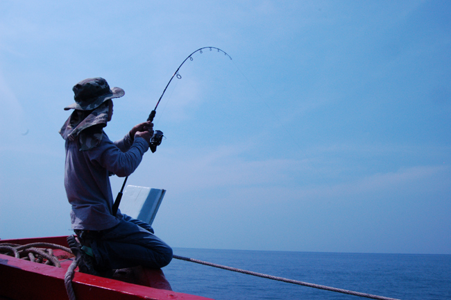    ปลาพาวนรอบเรือไปหนึ่งรอบ ผมเริ่มเ