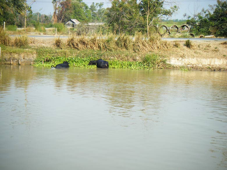 หวัดดีครับน้าSITTICHOK2010

อากาศดีครับวัน