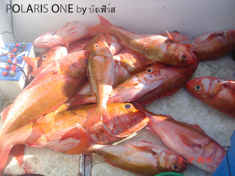 พอ9โมงกว่าก็ประมานนี้แล้ว :cool: