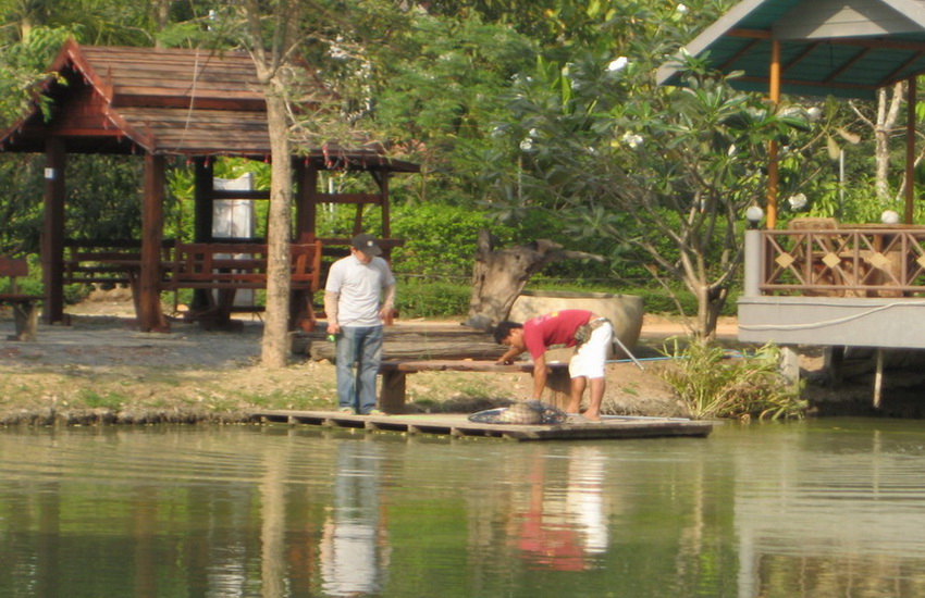 ตีฟรายก็กัดดีครับ :laughing: