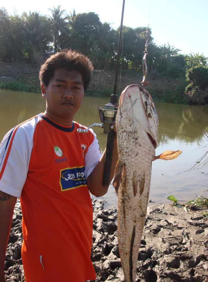 ตัวกำลังสวยๆ :umh: :umh: