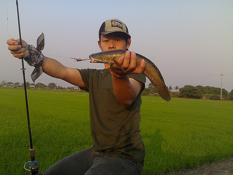  :cheer: :cheer: :cheer:

 [q]ป๊าดดดดดดดดดดดดดด...สำรว