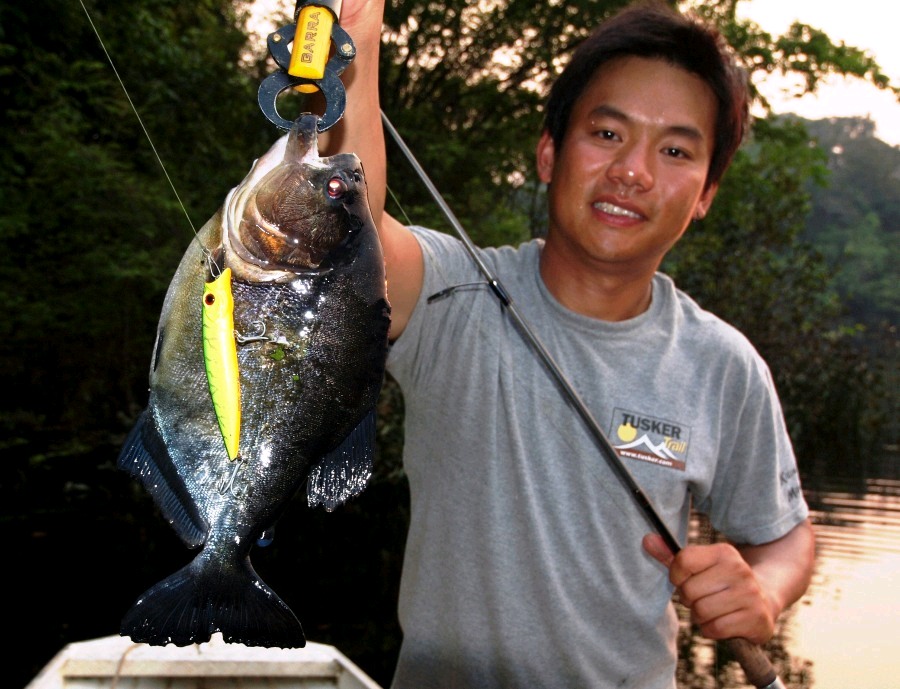 Black Piranha ตัวนี้ :cool: