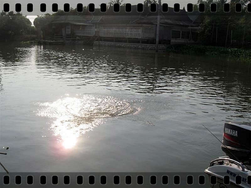  [b]........ติดไว้ก่อนครับ..ตูมนี้..ท้ายเรือครับ..ขอบอก..ใหญ่โคดๆๆ ลวกจิ้มไปแล้วด้วย..55555[/b] :lau