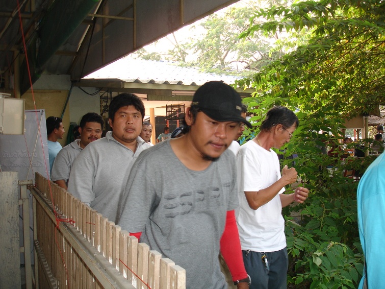น้าเอ็กซ์