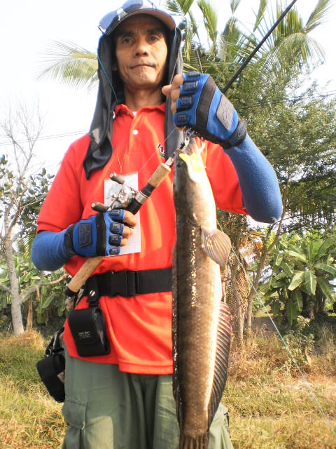 [q][i]อ้างถึง: eaklovefishing posted: 07-02-2554, 14:15:04[/i]

 มาให้กำลังใจน้า บอล กับน้า นัท ด้