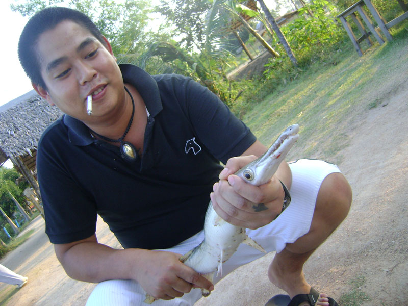 และก้เอาเจ้านี่ขึ้นมา