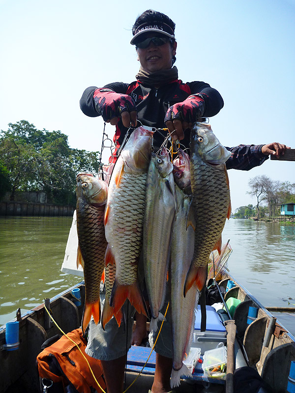 จำต้องพ่ายให้แก่สัตว์ประหลาด...