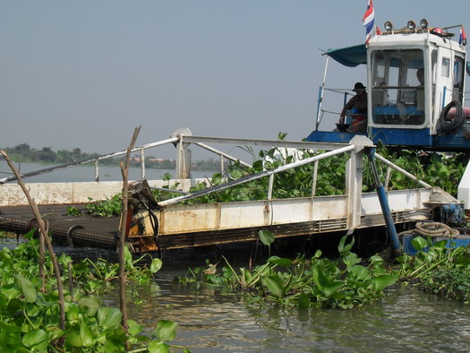 
       กุ้งกำลังกิน...น้ำกำลังเดิน..ทุกอย่าง.........กำลังดี

  แต่......... :angry: :angry:

