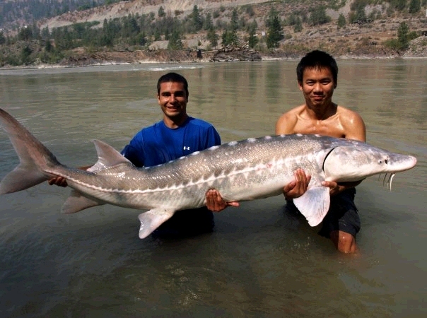 รูปนี้ที่ Canada ครับ

เพื่อนสนิทคนขวาผม fishing buddy ที่แคนนาดาคนนี้ อดัม จะกลับไปตกปลาทั่วไทยกั