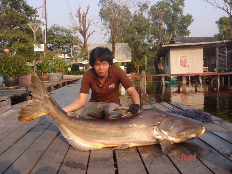 ขอยืมหล่อหน่อยเป็นธรรมเนียม  :laughing: :laughing:

[q][i]อ้างถึง: อาจารย์ปู posted: 08-02-2554, 1