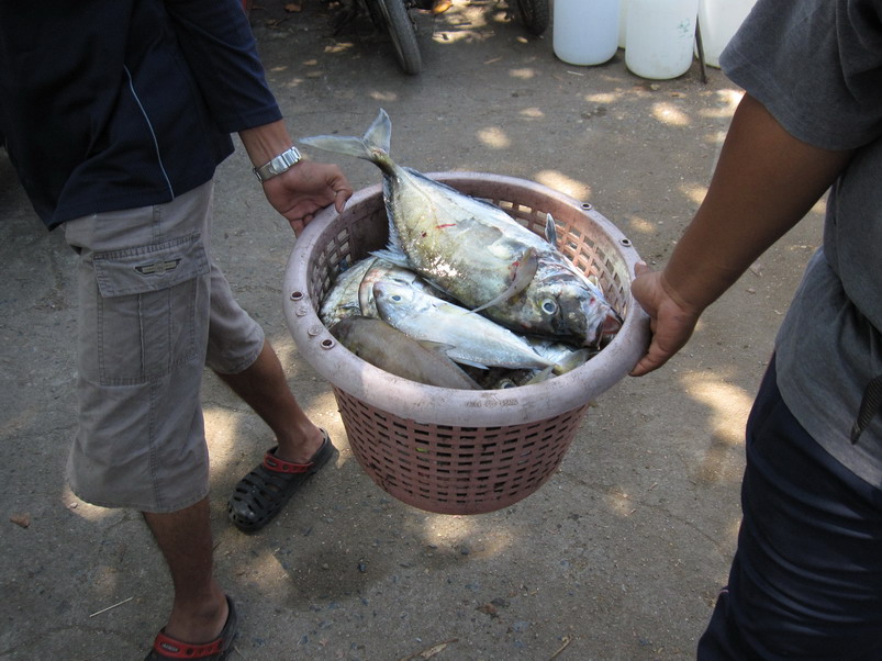 ถึงฝั่งแล้ว ช่วยกันขนปลาขึ้นจากเรือ

