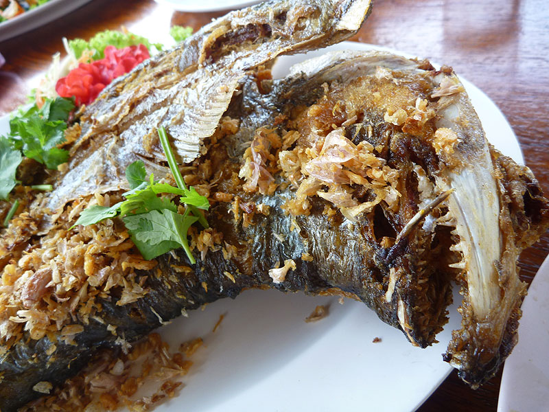 เมนูกลางวันให้แม่ครัวที่บ้านริมสวนทำ อร่อยมากครับ

 :heart: