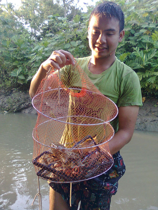 ฤดูกาลกุ้งใหญ่มาแล้วครับ