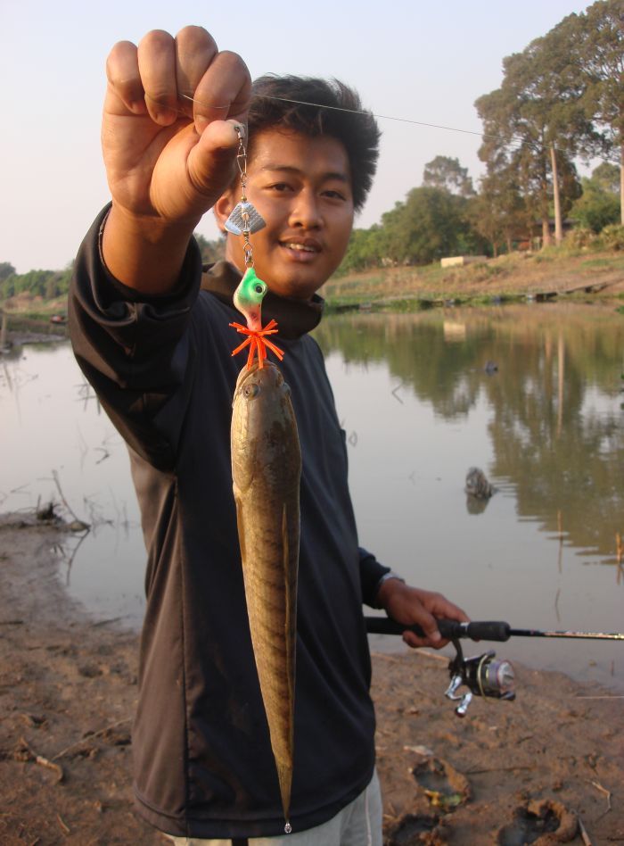ช่อนยามเย็นแม่น้ำลพบุรีกับเหยื่อผ
