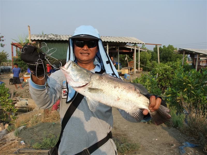 ไม่ตรงเอาใหม่  :cool: :cool: :cool: :cool: :cool: :cool: :cool: :cool: :co