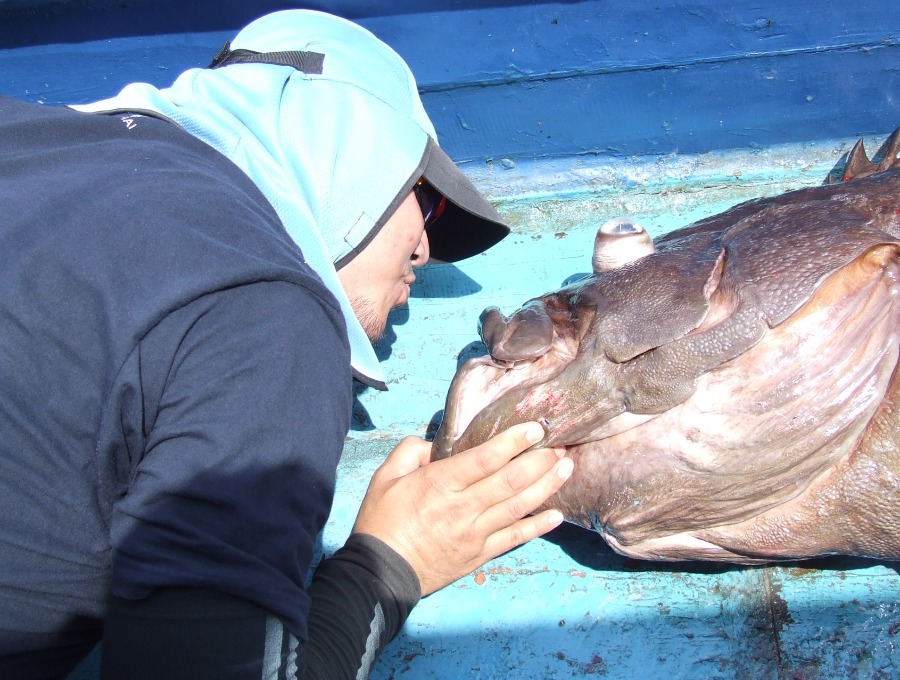 นึกถึงท้ายเรือแล้วก็ทนไม่ไหว! เก๋าจ๋า.........ๆ

 :kiss: :kiss: :kiss: :kiss: :kiss: :kiss: :kiss: