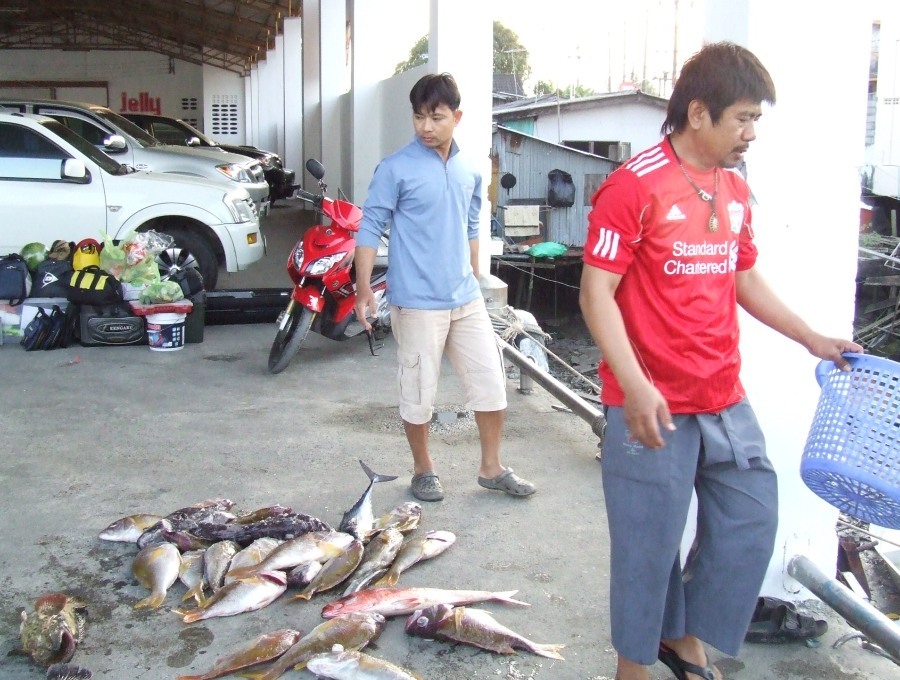มาเปงกอง! เหนื่อยมั้ยโปร? ใครตกเยอะก็ขนเยอะ!

 :laughing: :laughing: :laughing: :laughing: :laughi