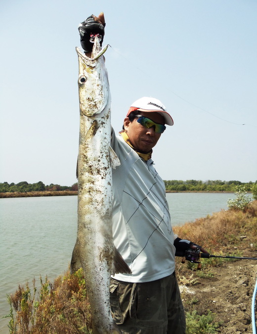 กว่าจะขึ้นได้.......ลุ้นแทบแย่  ยาววววววว....ปี๊ดดดดดดดดดด:cool: :cool: :cool: :grin: :grin: :grin: