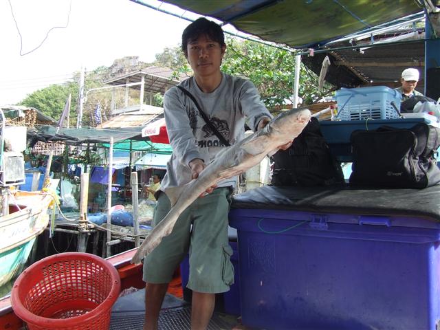 กับไอ้หลาม