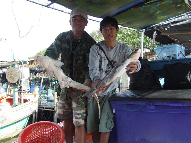 เอ้ารีบถ่ย 555+